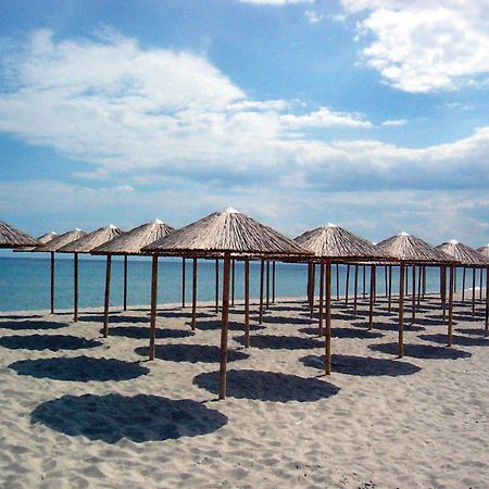 Hotel White Rose Beach Olympiakí Aktí Dış mekan fotoğraf