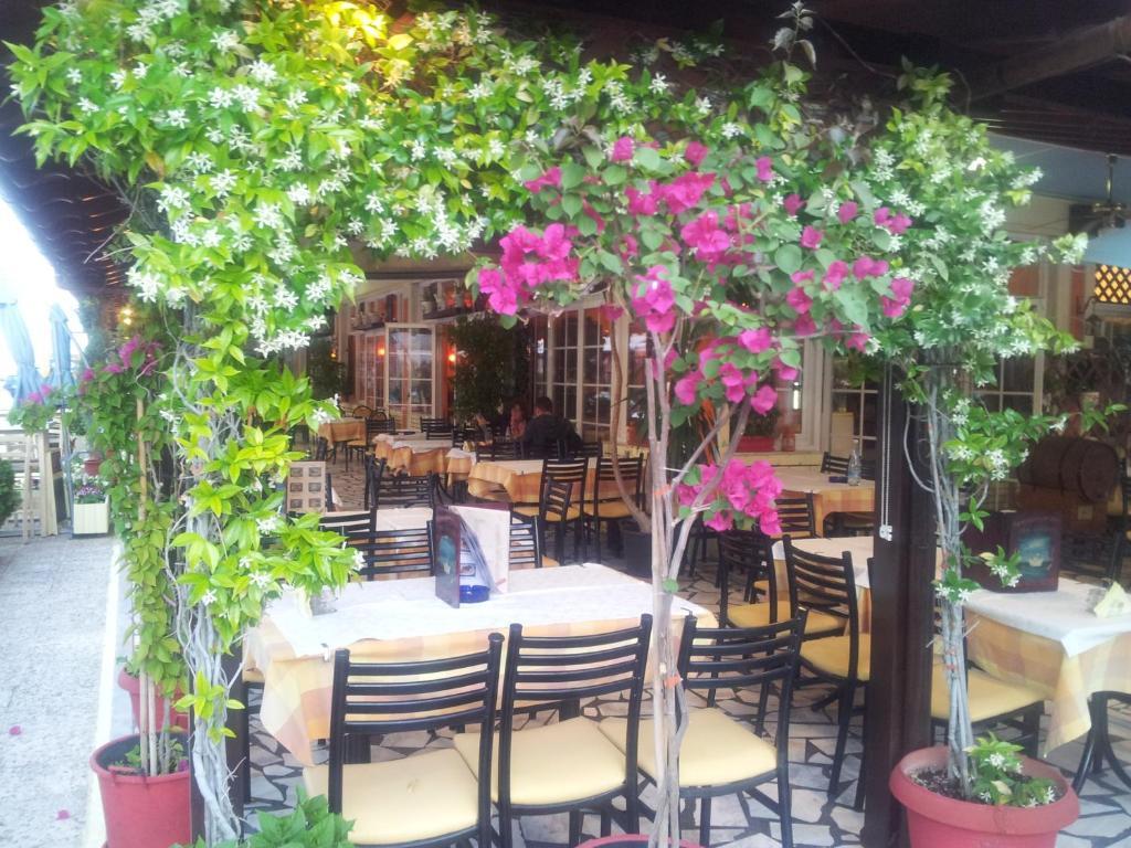 Hotel White Rose Beach Olympiakí Aktí Dış mekan fotoğraf